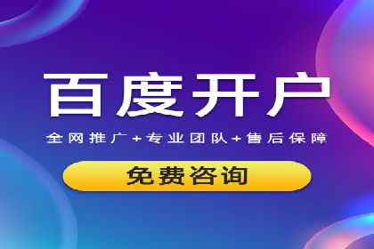百度广告竞价策略详解：某电商平台的成功案例